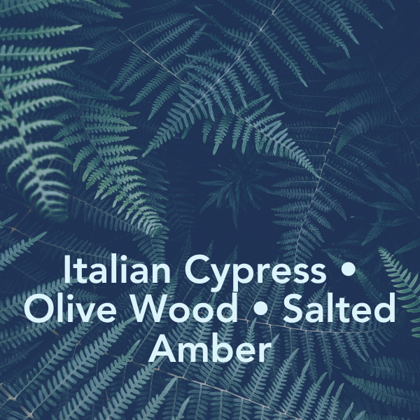 Chiseled | Ultra-Hydrating Body Butter and Beard Oil (For Men)